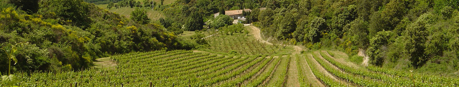 Agence immobilière spécialisée dans la vente de château et de vignoble, en Languedoc-Roussillon