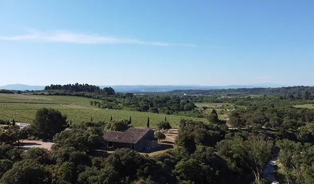 Agence immobilière spécialisée dans la vente de domaine viticole et de vignoble dans le sud de la France