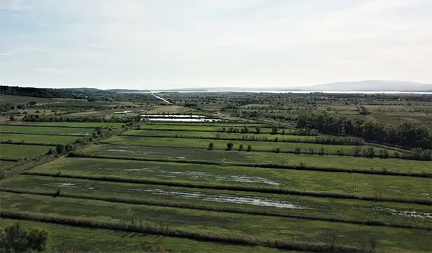 Les Chemins du Sud, agence immobilière spécialisée dans la vente de propriétés, fermes, mas, chasses