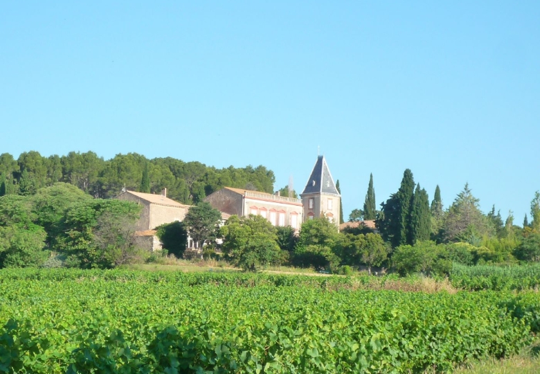 Château viticole à vendre dans l#qHérault