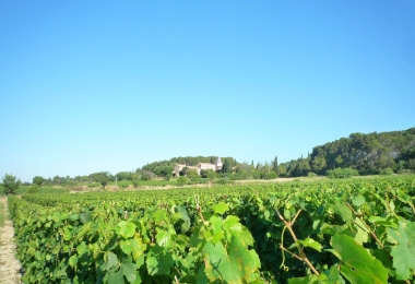 A vendre château viticole dans le Languedoc