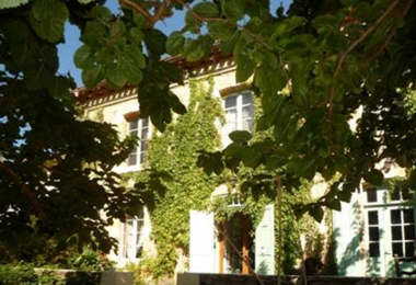 Cour ombragée par de grand arbre