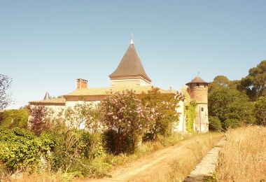 VENTE SUPERBE DOMAINE VITICOLE ET D’AGREMENT CLOTUREE DE 133 ha dans le Languedoc Roussillon 