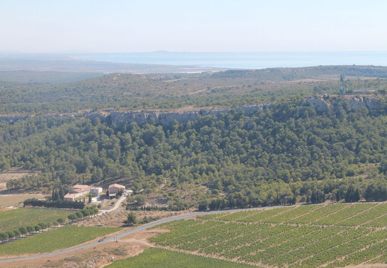 Vue sur le domaine vitciole et les vignes