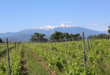 Villa offrant une vue sur la plaine et la méditerrannée