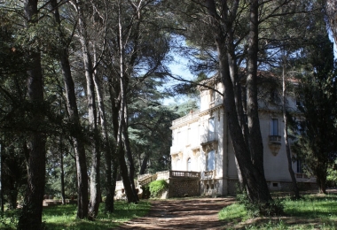 Vente domaine viticole dans l'Hérault. 