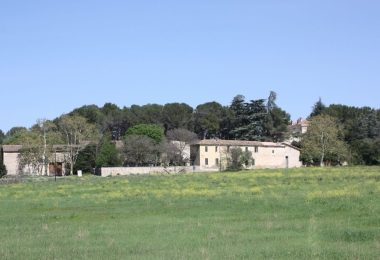 Vente domaine viticole dans l'Hérault. 