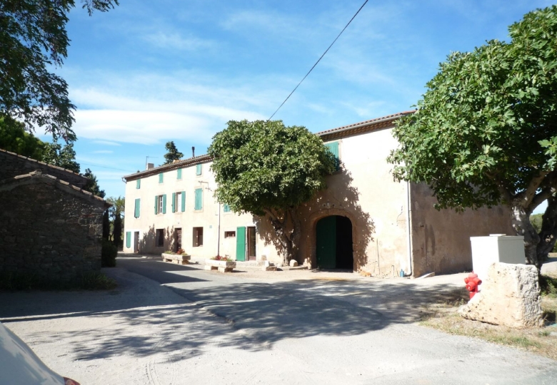 Domaine viticole à vendre dans les corbières au coeur de l’Aude 