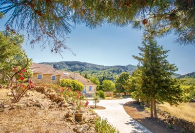 Gîtes aménagés dans ce domaine viticole à vendre en Languedoc