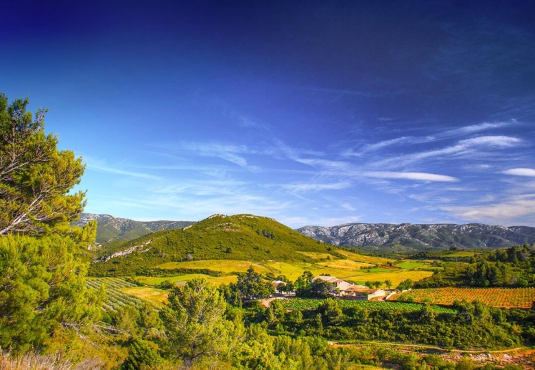 Vue sur le beau domaine viticole à vendre en Languedoc