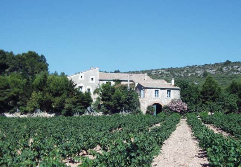 Adossé à une pinède, beau Domaine de caractère avec charmant ensemble de bâtiments. 