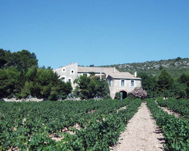 Adossé à une pinède, beau Domaine de caractère avec charmant ensemble de bâtiments. 