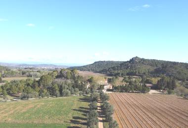 Vente domaine viticole dans l'Aude chasse