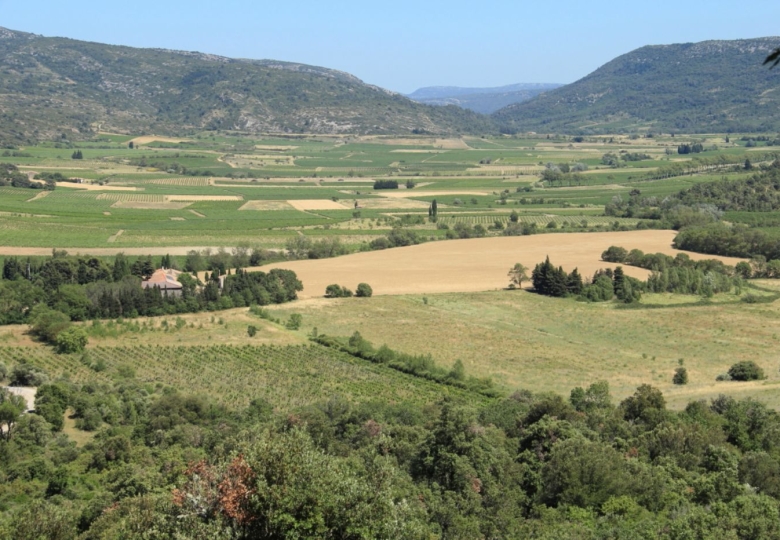 Vignoble d#qaltitude à vendre