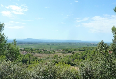 Domaine viticole dans une vallée méditerranéenne