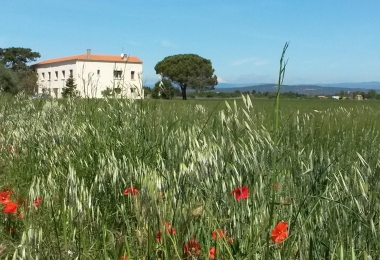 Achat domaine viticole proche du canal du midi