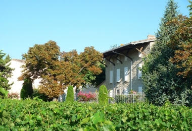 Languedoc, Charmant domaine viticole AOP et IGP. Idéal projet Agrotouristique. 