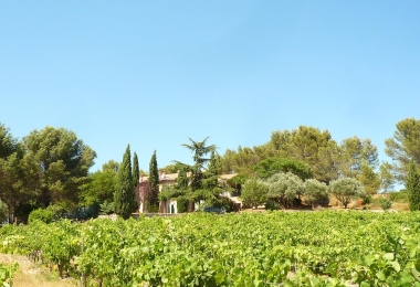 Vente charmant domaine viticole et oléicole dans l'Hérault 