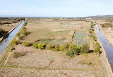 Beau territoire de 74Ha 49 a 05 ca composé de mares en Languedoc