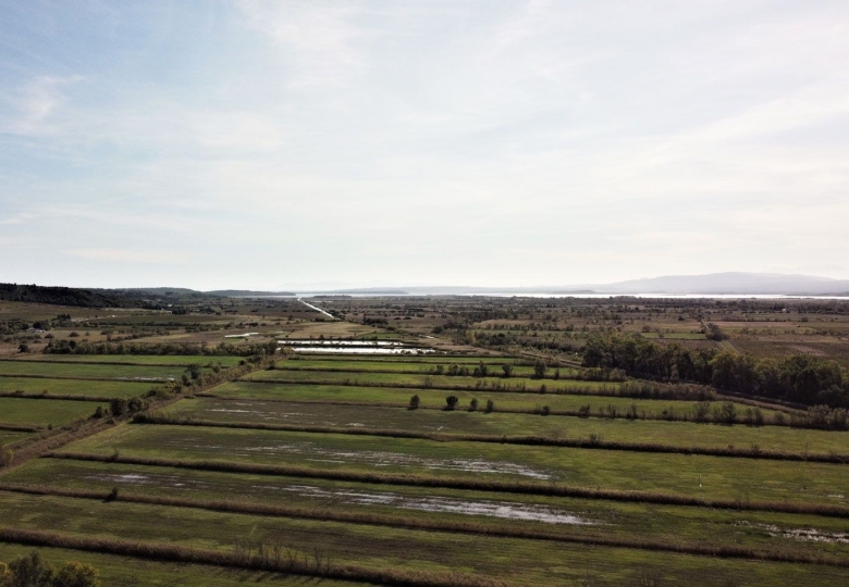 Beau territoire de 74Ha en Languedoc