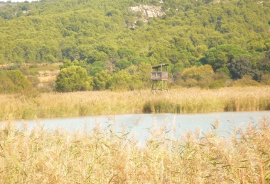 Beau territoire de 74Ha 49 a 05 ca composé de platières à bécassines