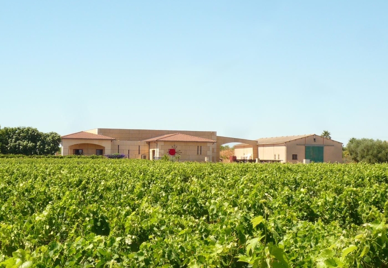 VENTE DOMAINE VITICOLE EN BIO EN LANGUEDOC 