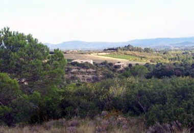 Charmant domaine viticole et agrotouristique bio en Languedoc.