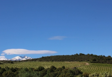 Vue vignoble d#qaltitude dans les Pyrénées Orientales