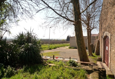 Vue du domaine viticole dans l#qAude en AOP Minervois.