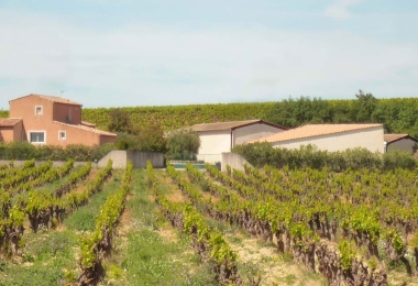 Vue de la propriété viticole à vendre dans le Languedoc, proche dun village avec vue sur la campagne