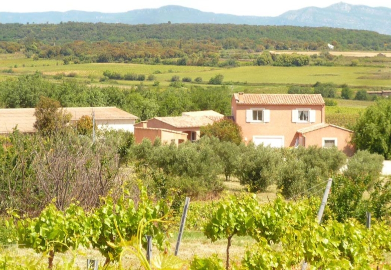 Vue générales des vignes du domaine viticole à vendre dans l#qHérault, proche dun village avec vue sur la campagne