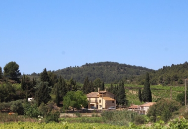 Vue du domaine viticole Bio dans l#qAude en AOP Corbières