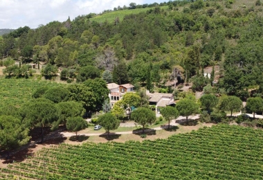 Vue des vignes du vignoble d#qaltitude d#qun charmant domaine viticole en IGP Languedoc