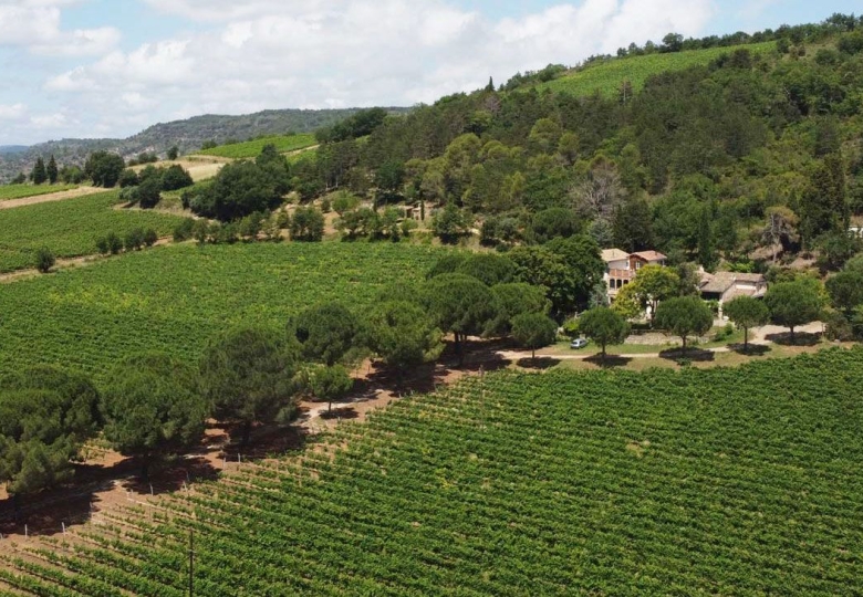 Vignoble daltitude avec de superbes vues panoramiques, domaine viticole a vendre en AOP Languedoc et IGP