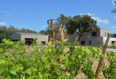 Vignes du domaine Bio en AOP Languedoc