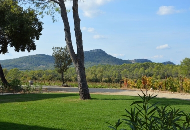 Vue extérieure d#qun beau domaine en AOP Pic-Saint-Loup en production Bio