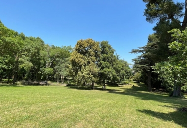 Le parc du beau domaine viticole avec maison de maitre