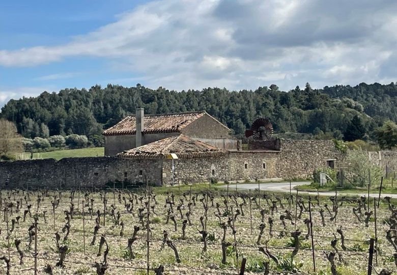 Les vignes d#qun petit domaine viticole à la vente en Languedoc.