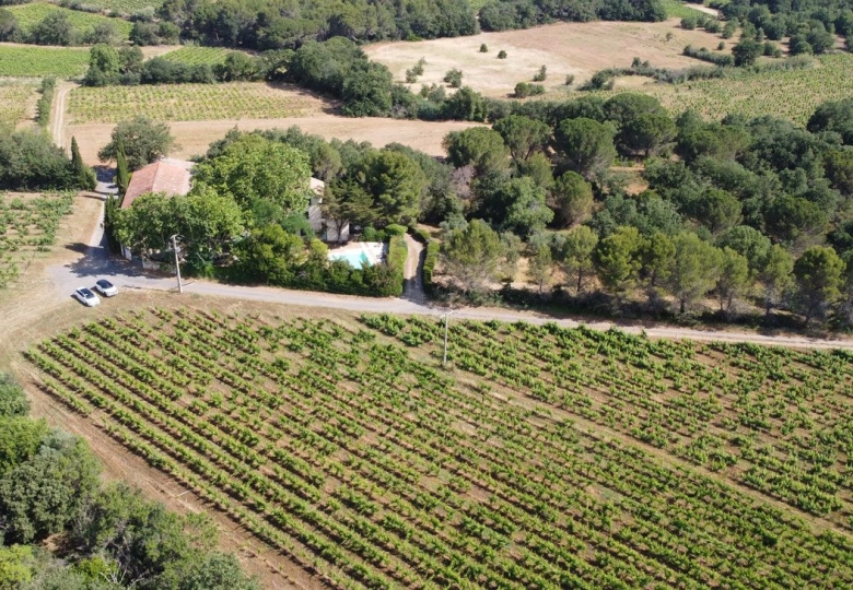 Vue des vignes du charmant domaine agro-touristique en Languedoc.