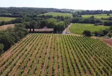 Vue générale des vignes du domaine agro-touristique à la vente dans le Languedoc