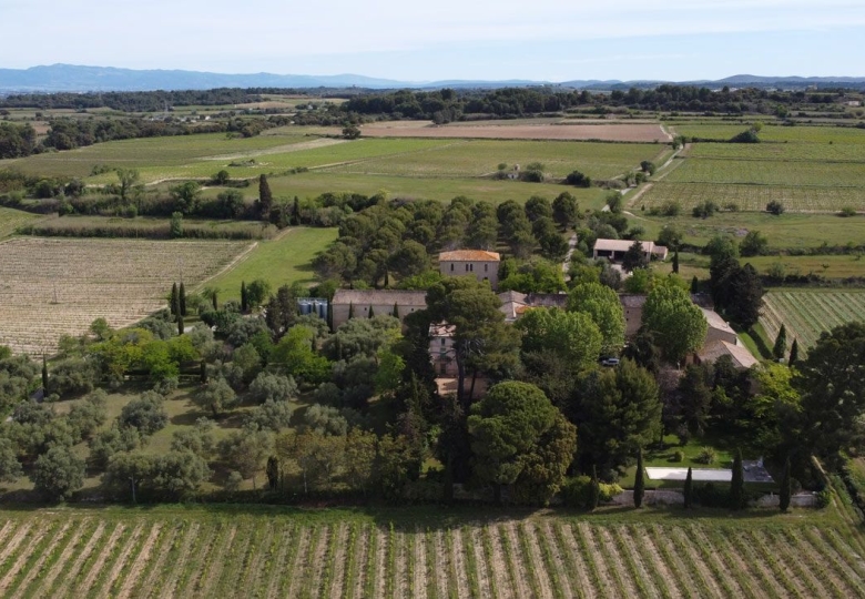 Vue aérienne domaine à vendre en région Occitanie dans l#qHérault