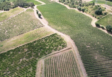 Vue aérienne des vignes du domaine viticole à la vente en Occitanie