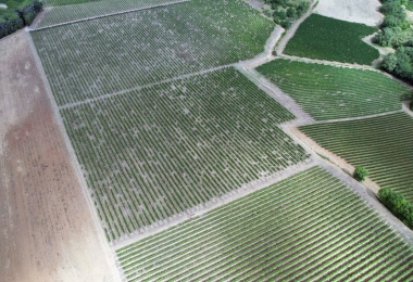 Vue aérienne des vignes du domaine viticole en Languedoc