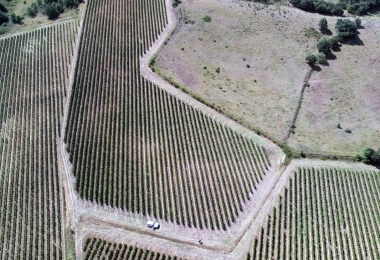 Ce domaine viticole à vendre dans le Languedoc est situé dans un environnement vallonné