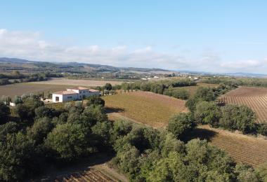 vente hobby -vineyard-languedoc coté