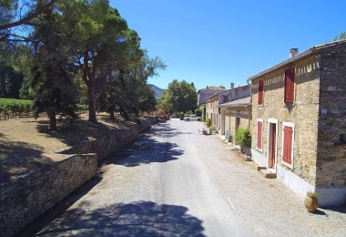 Vue de côté des vignes du domaine viticole à vendre Occitanie