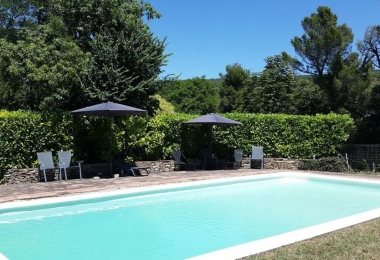 La piscine du domaine-viticole à vendre en Occitanie