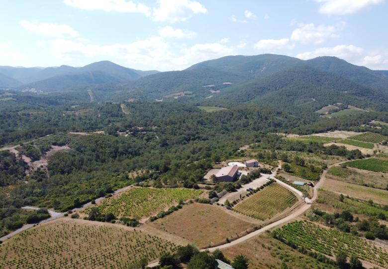 Vue du domaine viticole Hérault 31 ha