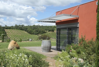 Vue des vignes du domaine viticole Bio dans l'Hérault