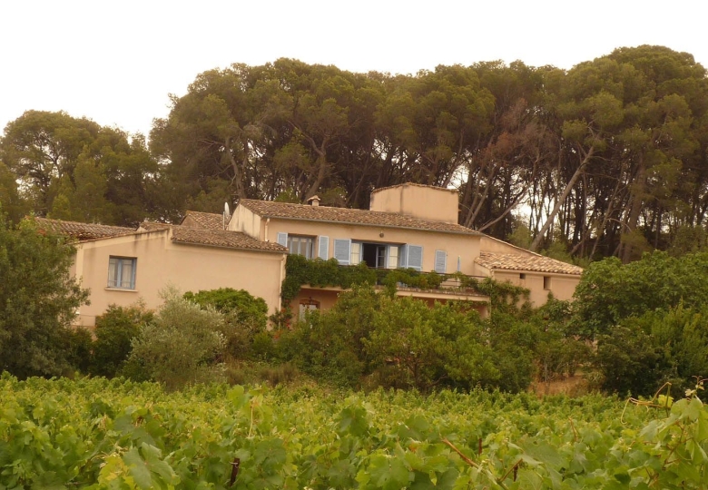 Domaine viticole  proche de la mer sur l'appellation Piquepoul de Pinet 